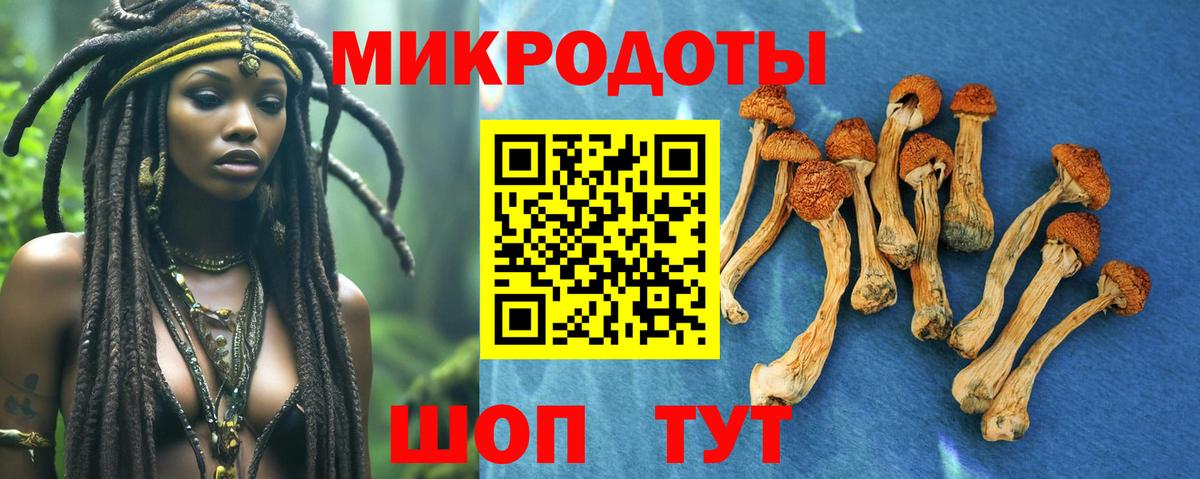 Галлюциногенные грибы MAGIC MUSHROOMS Кисловодск