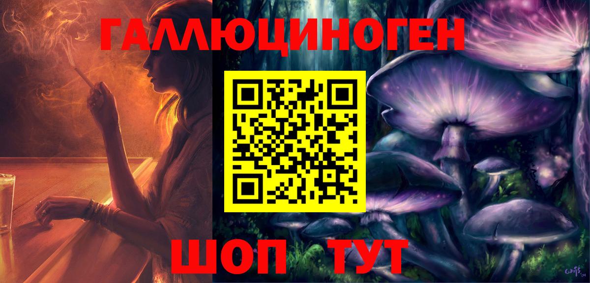 Псилоцибиновые грибы Psilocybine cubensis  где найти   Кисловодск  Вход с VPN  Галлюциногенные грибы GOLDEN TEACHER 